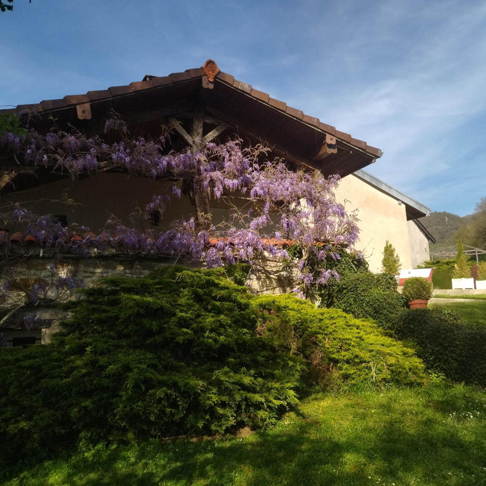 Gite De L'Ancheronne 12 Couchages Spa Lavans-sur-Valouse 외부 사진